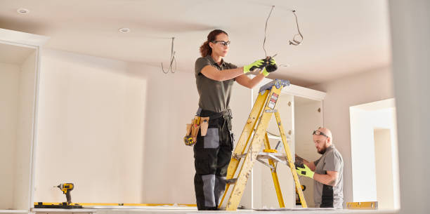 Best Electrical System Inspection  in Algonquin, MD